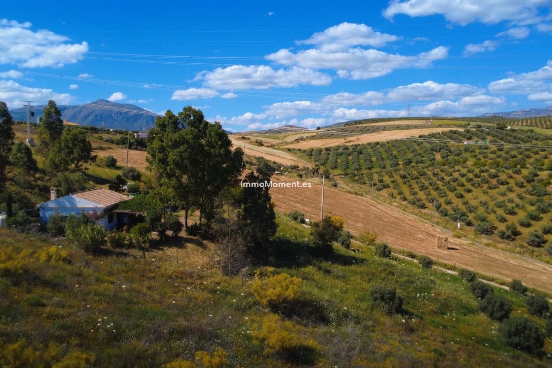 Resale - Country house - Inland  - Alora