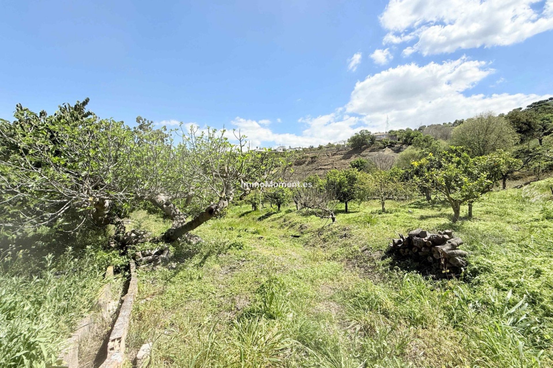 Resale - Country house - Inland  - Coín