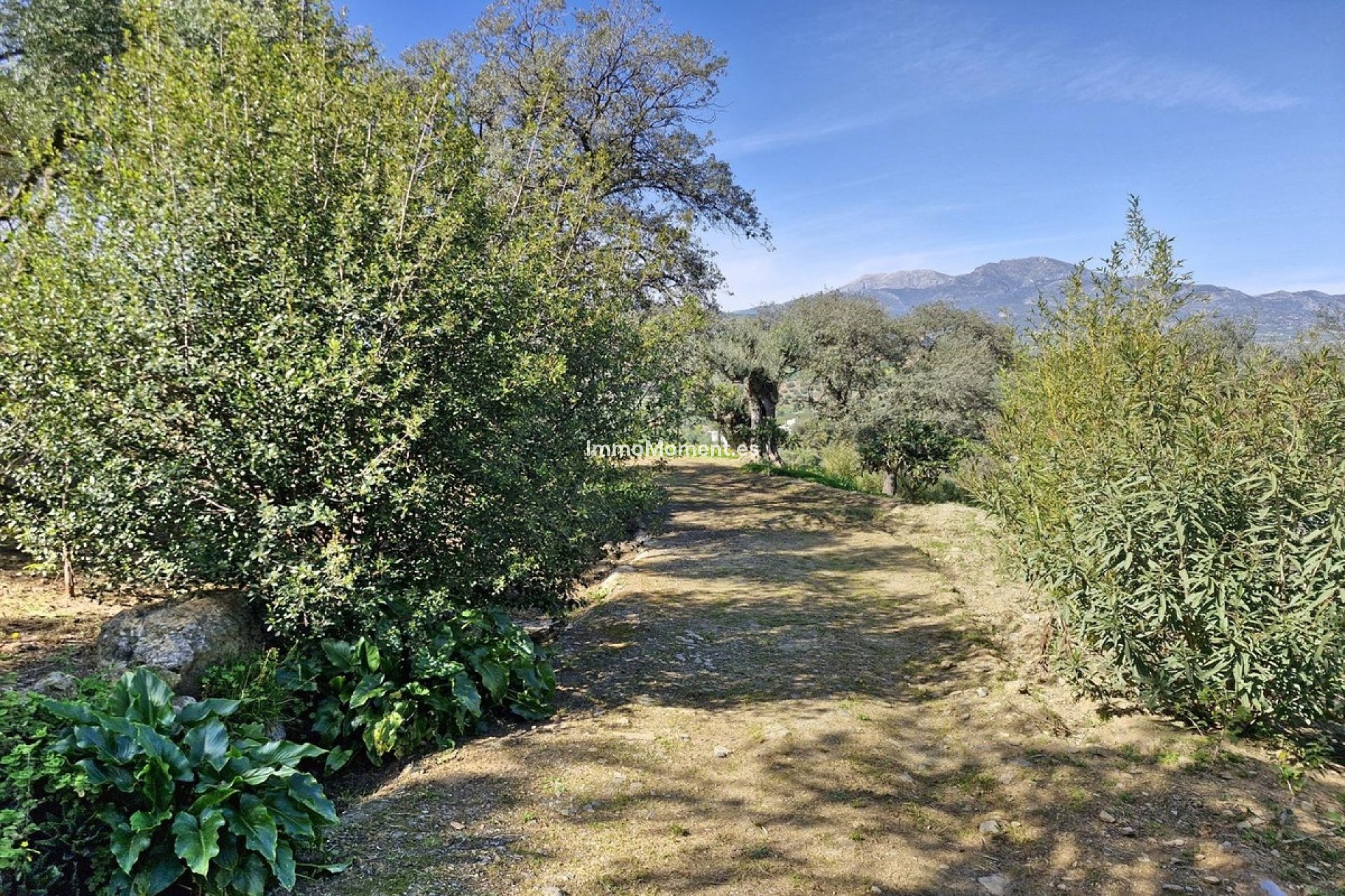 Resale - Country house - Inland  - Coín