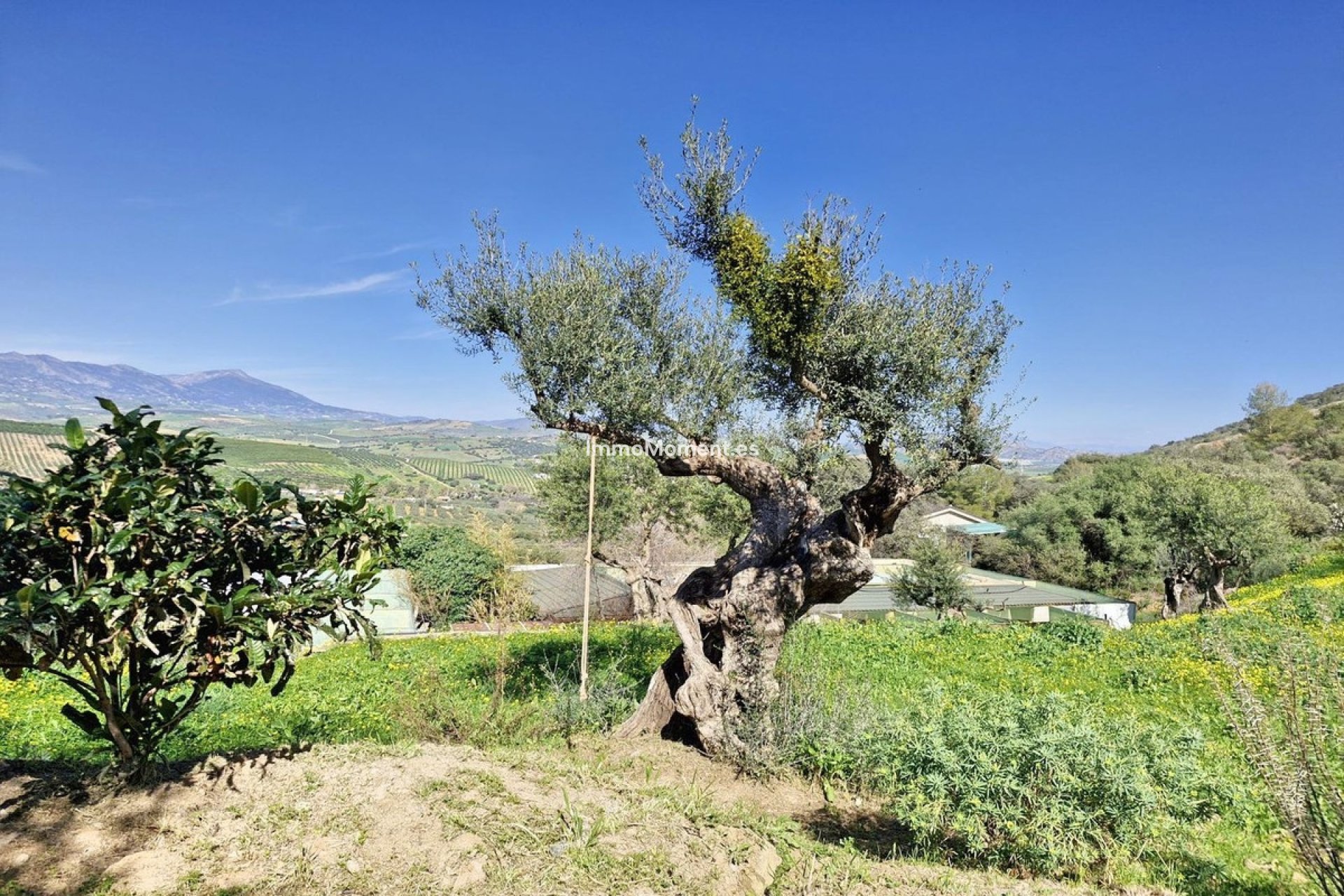 Resale - Country house - Inland  - Coín