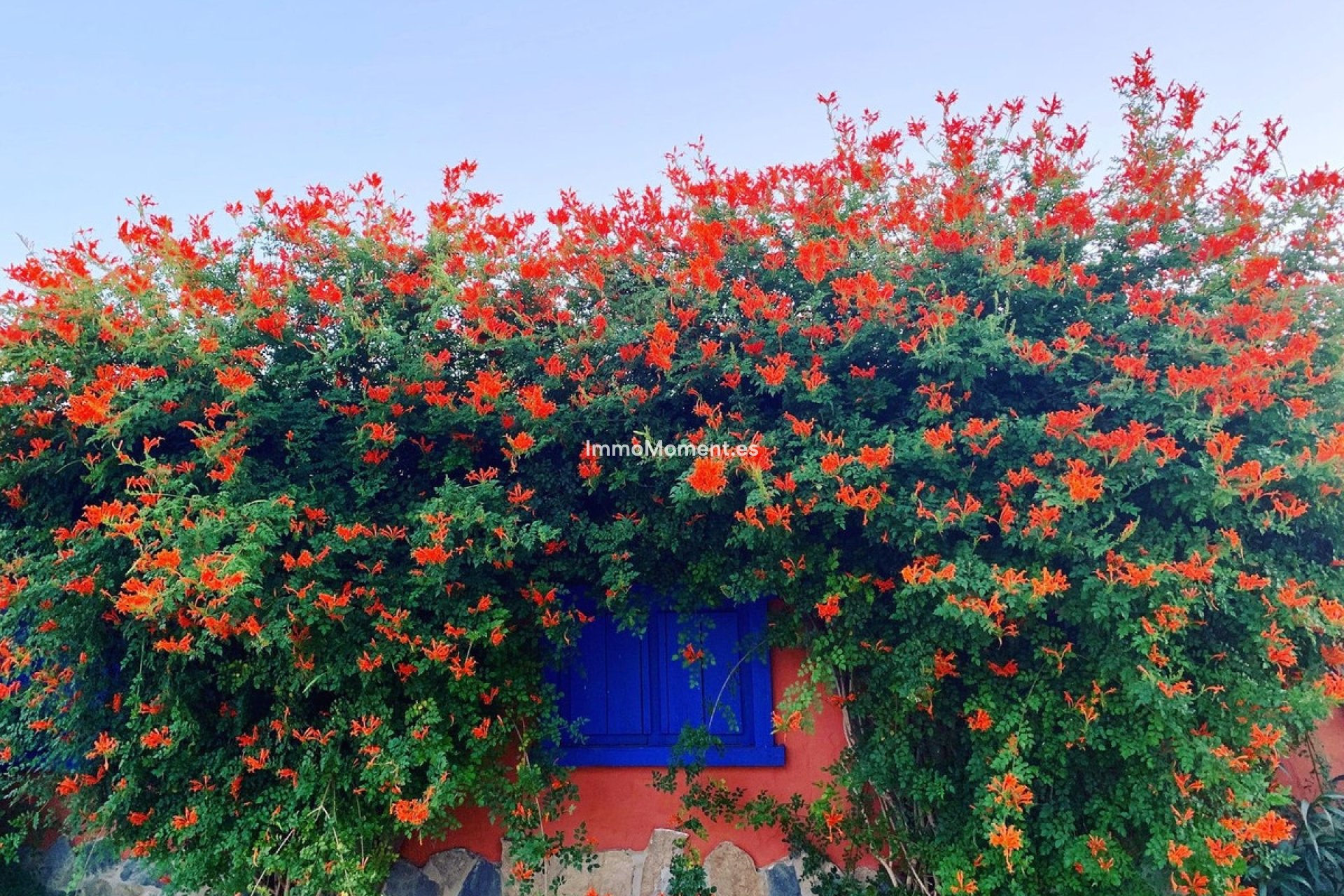 Resale - Country house - Inland  - Coín