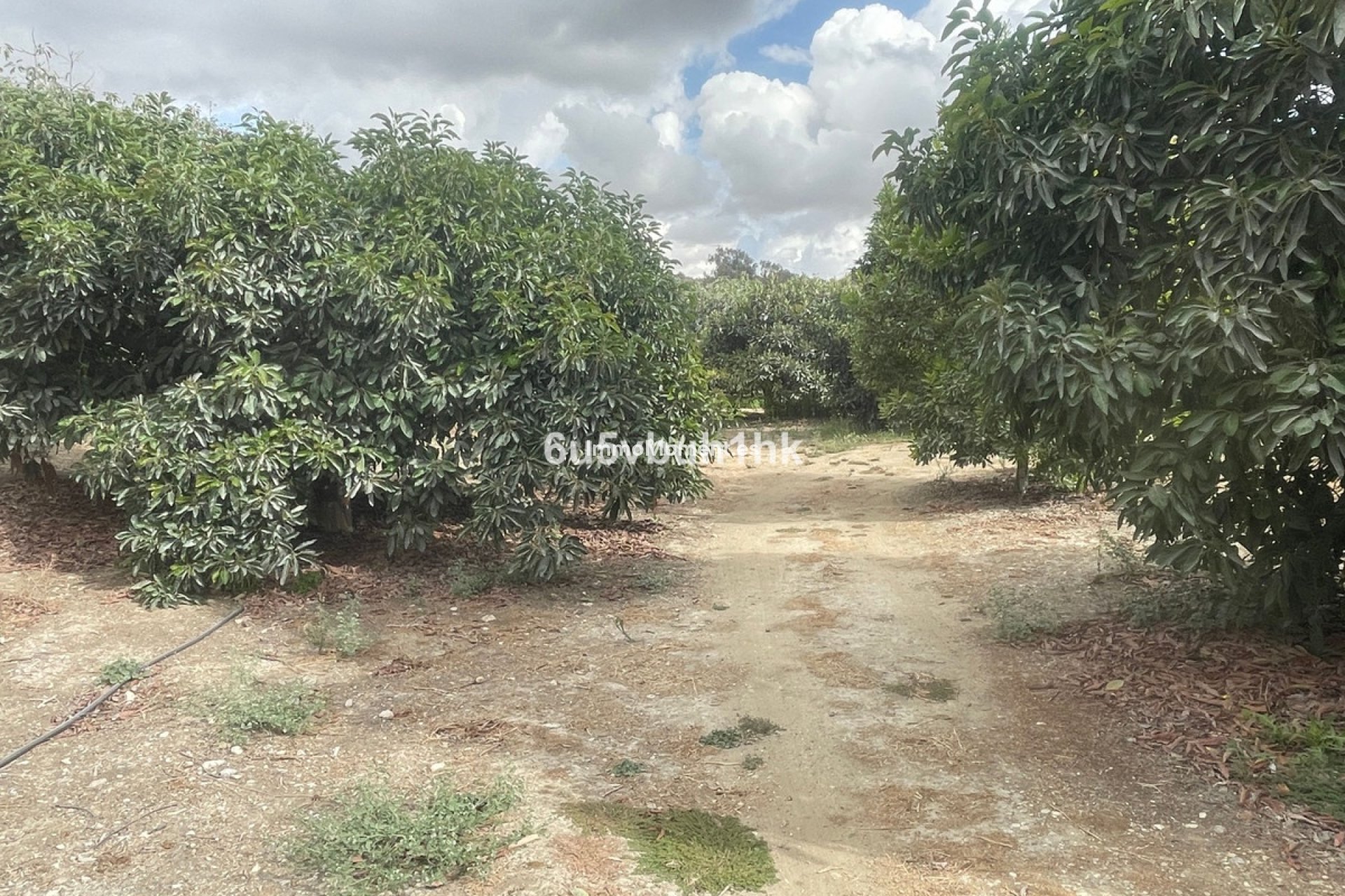 Resale - Country house - Inland  - Coín