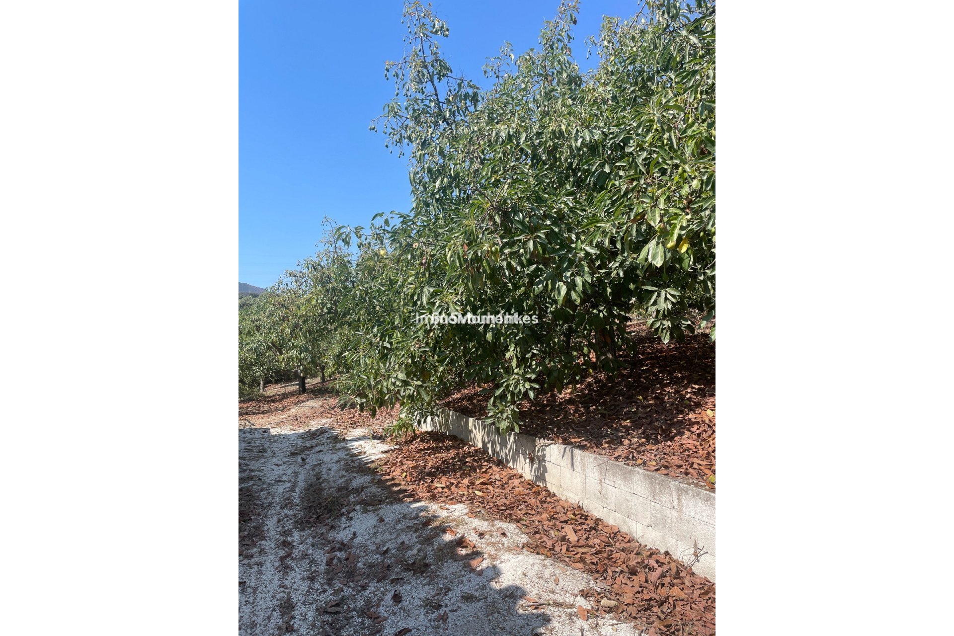 Resale - Country house - Inland  - Coín