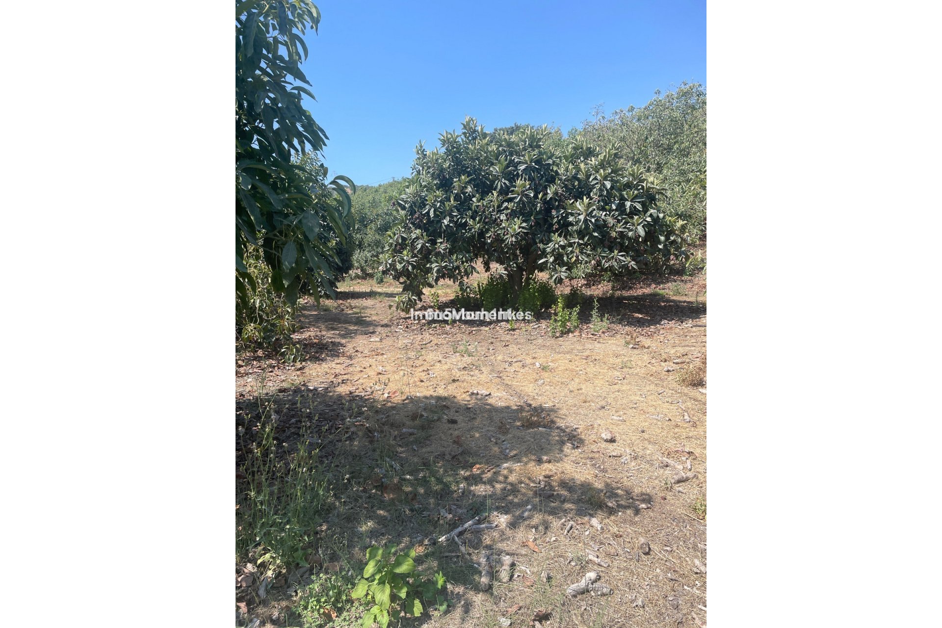 Resale - Country house - Inland  - Coín