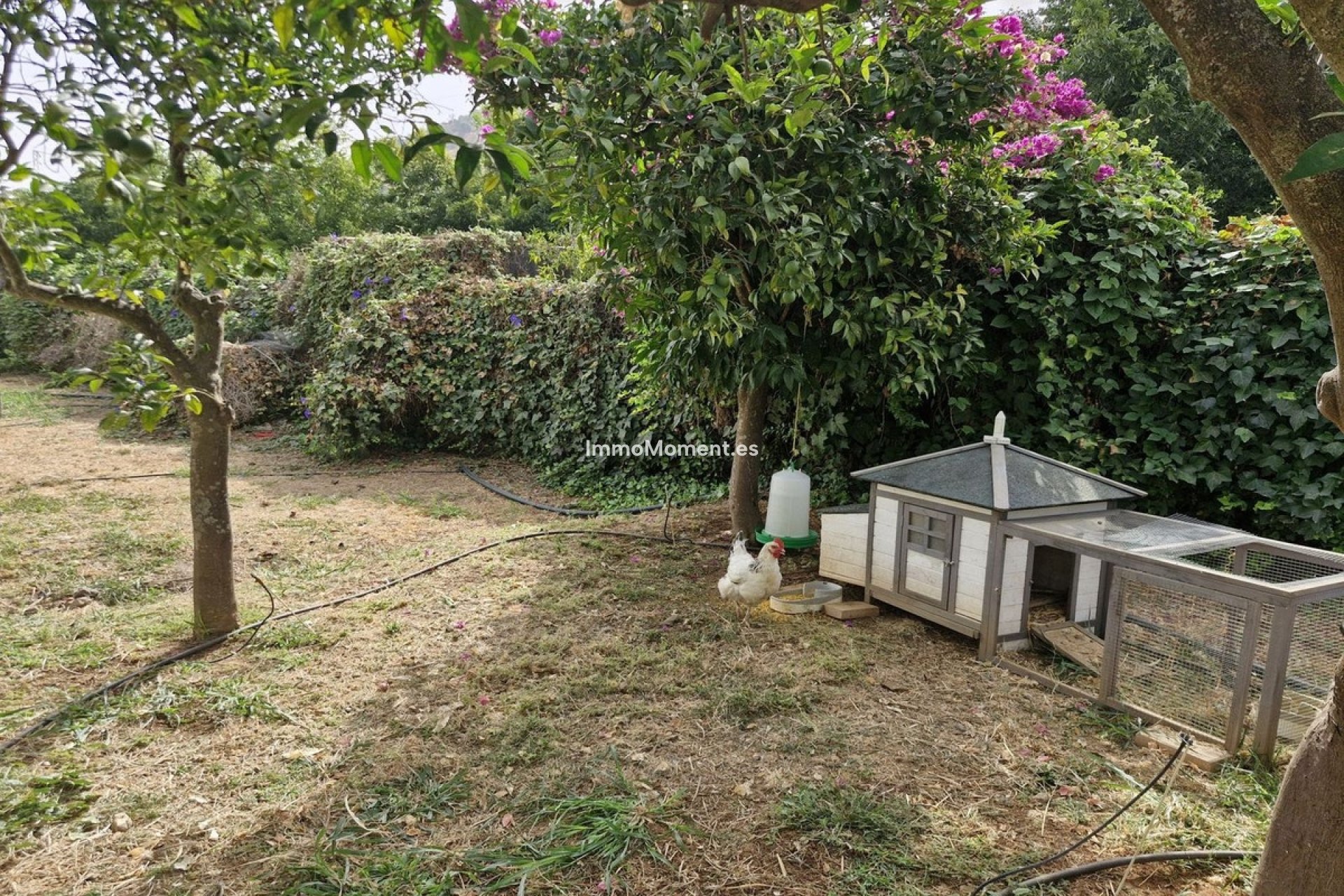 Resale - Country house - Inland  - Coín