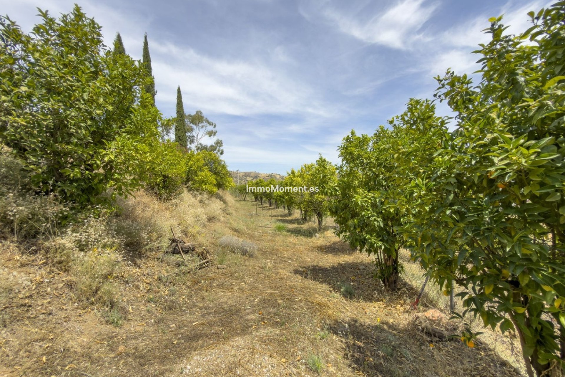 Resale - Country house - Inland  - Coín