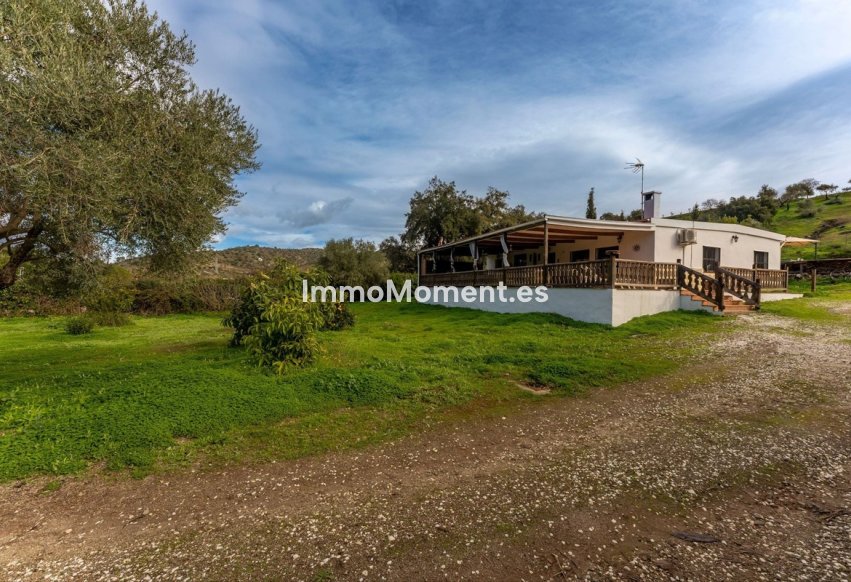 Resale - Country house - Inland  - Monda