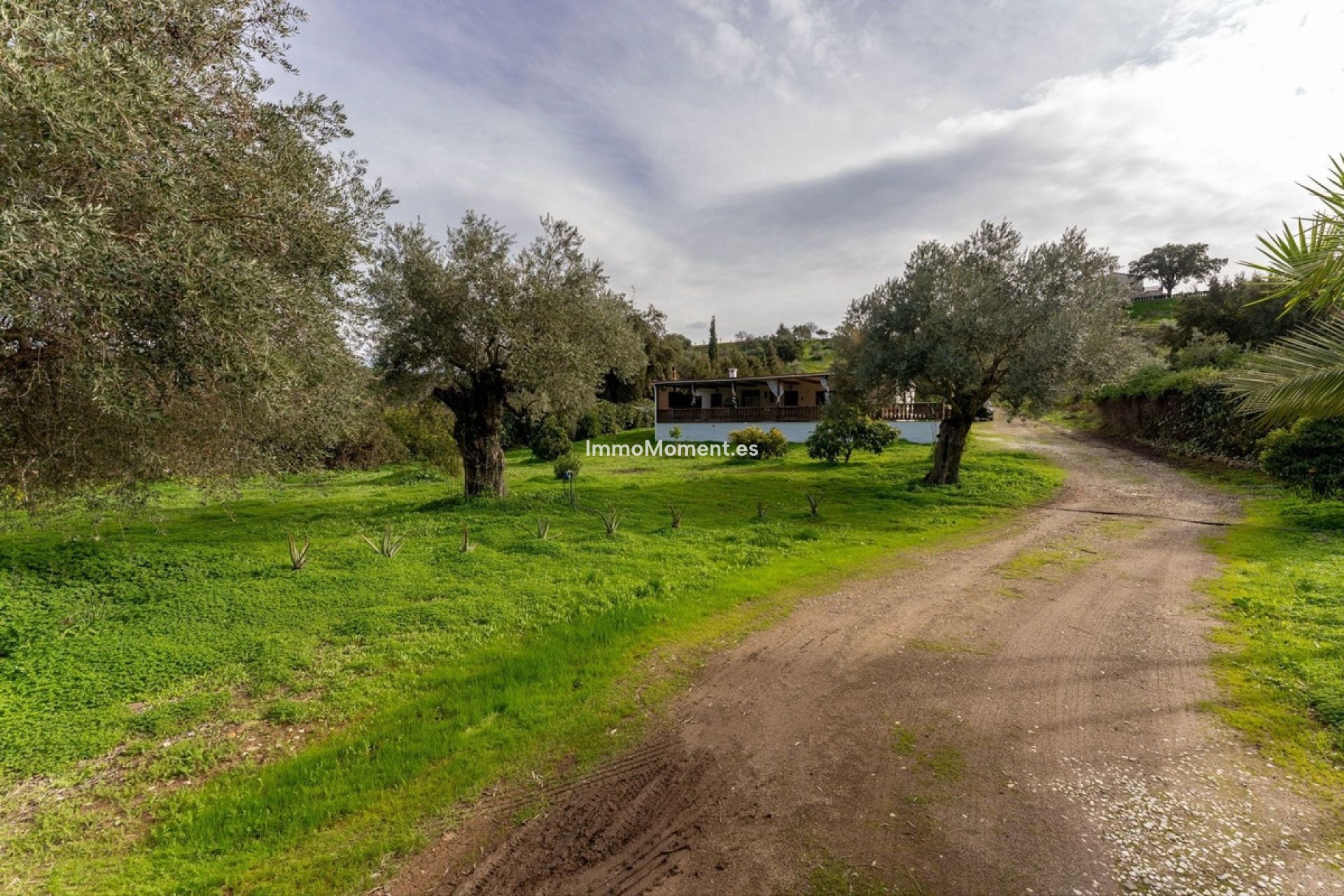 Resale - Country house - Inland  - Monda