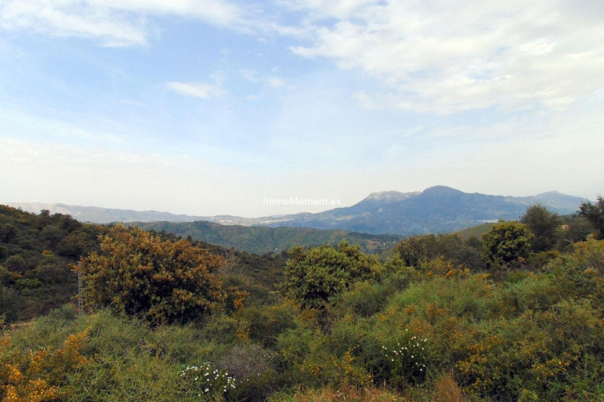 Resale - Country house - Inland  - Monda