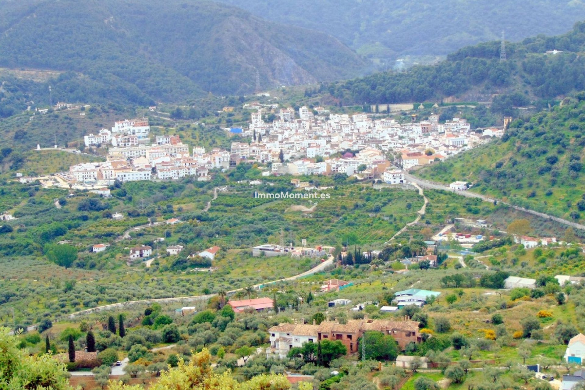 Resale - Country house - Inland  - Monda