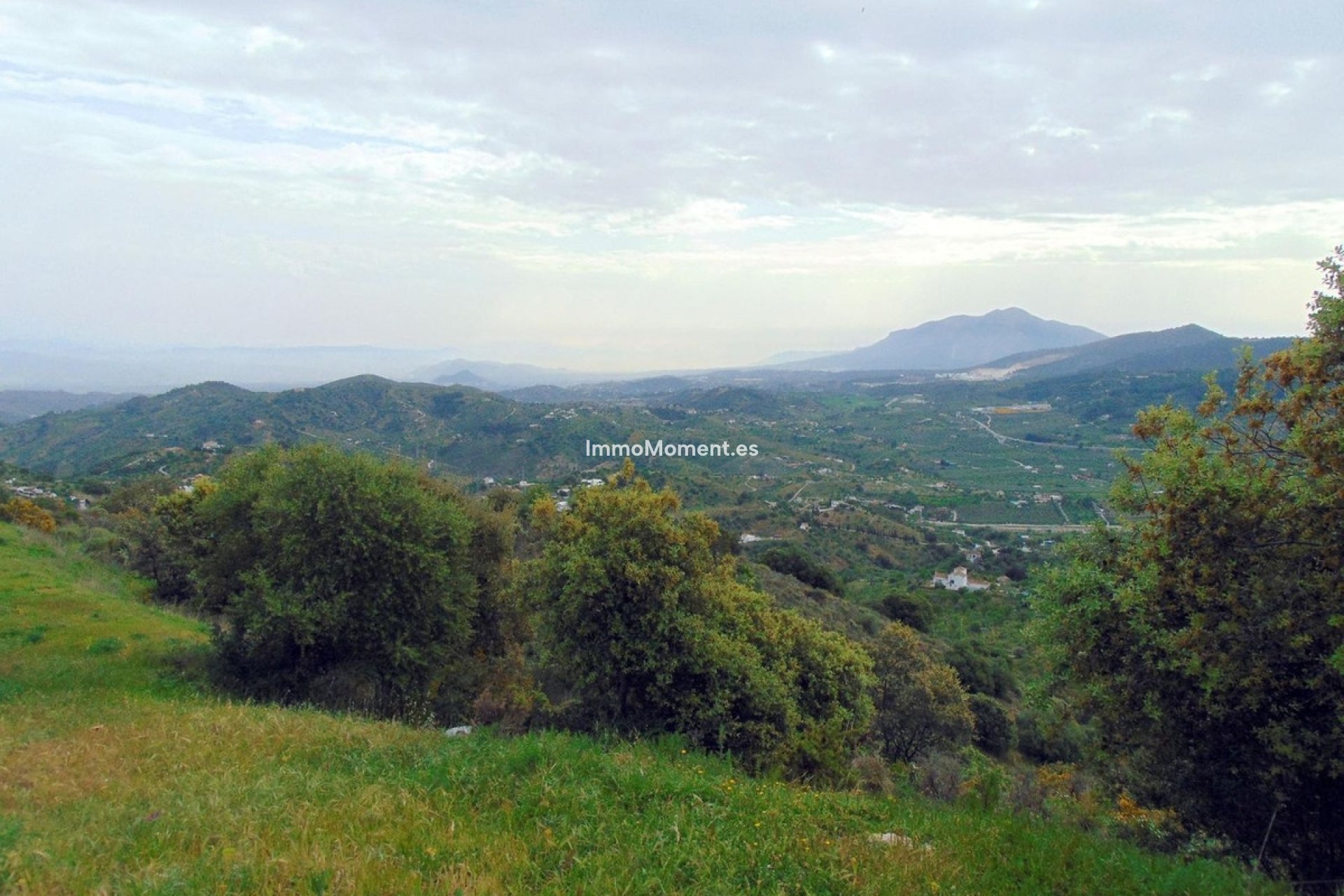 Resale - Country house - Inland  - Monda