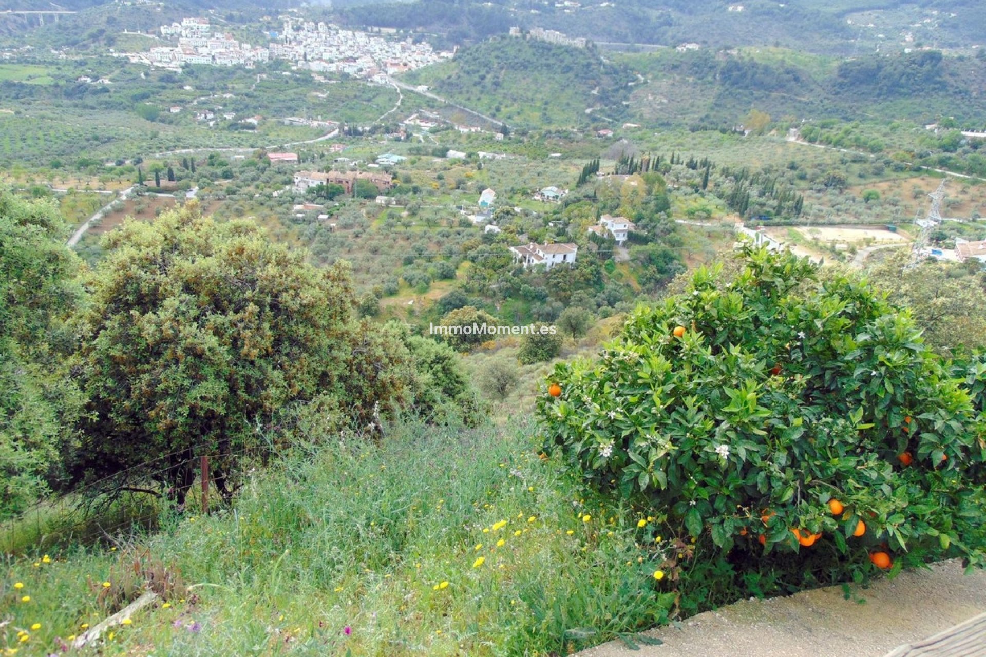 Resale - Country house - Inland  - Monda