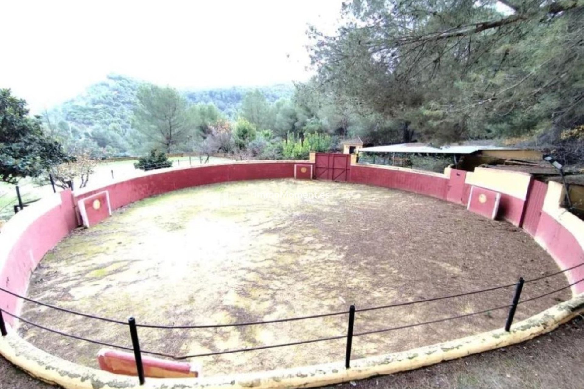 Resale - Country house - Inland  - Monda