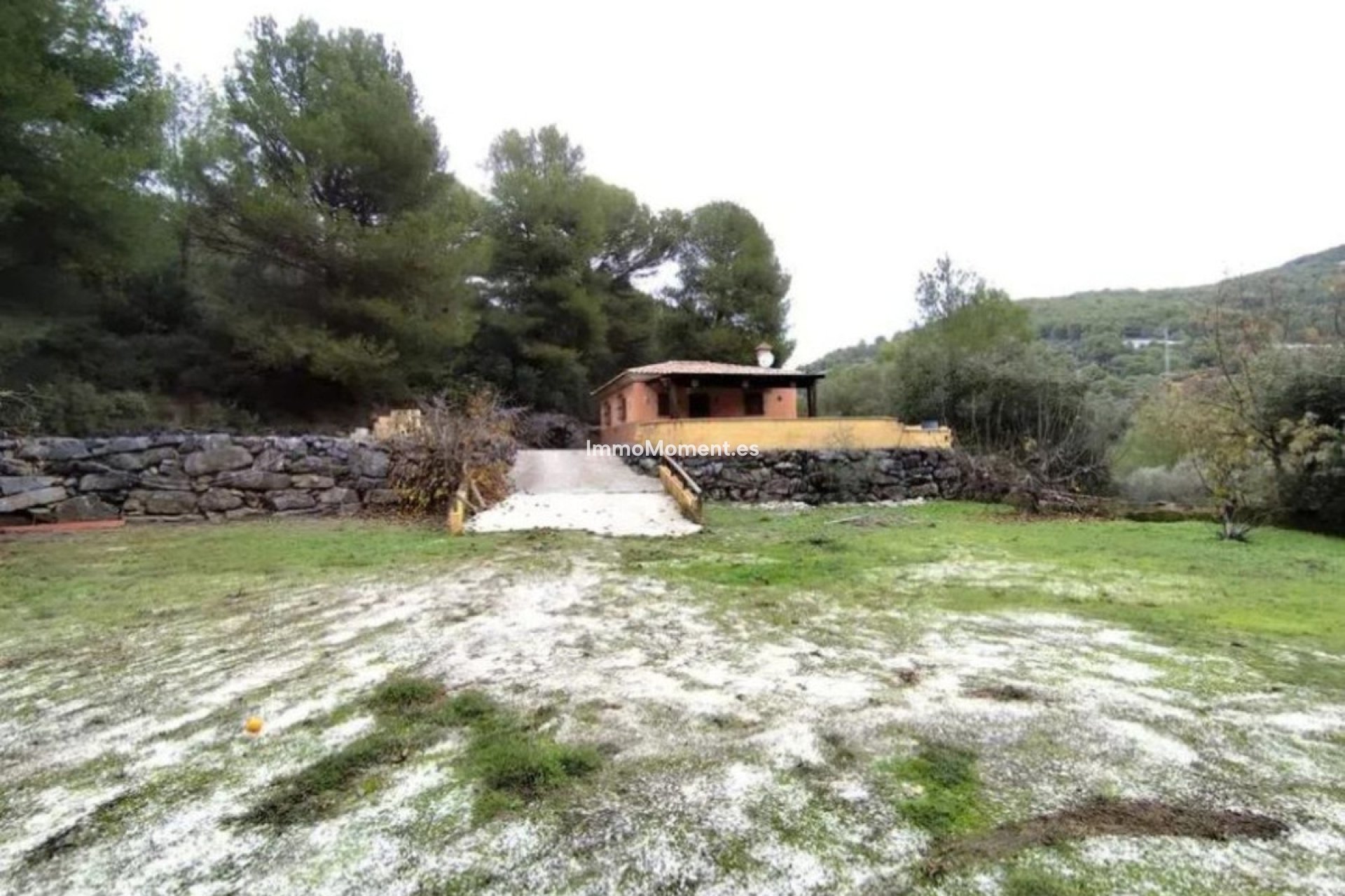 Resale - Country house - Inland  - Monda