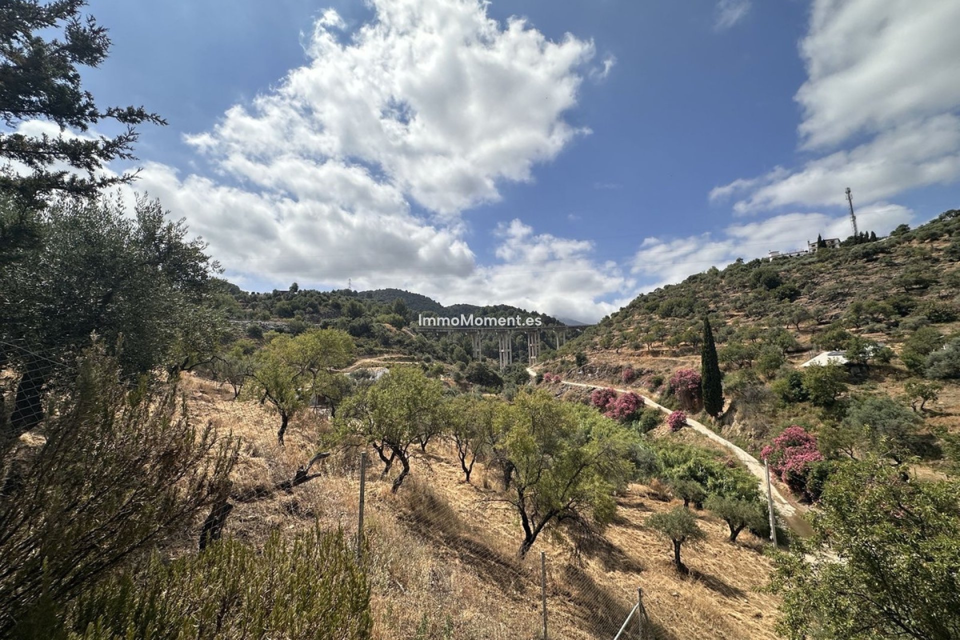 Resale - Country house - Inland  - Monda