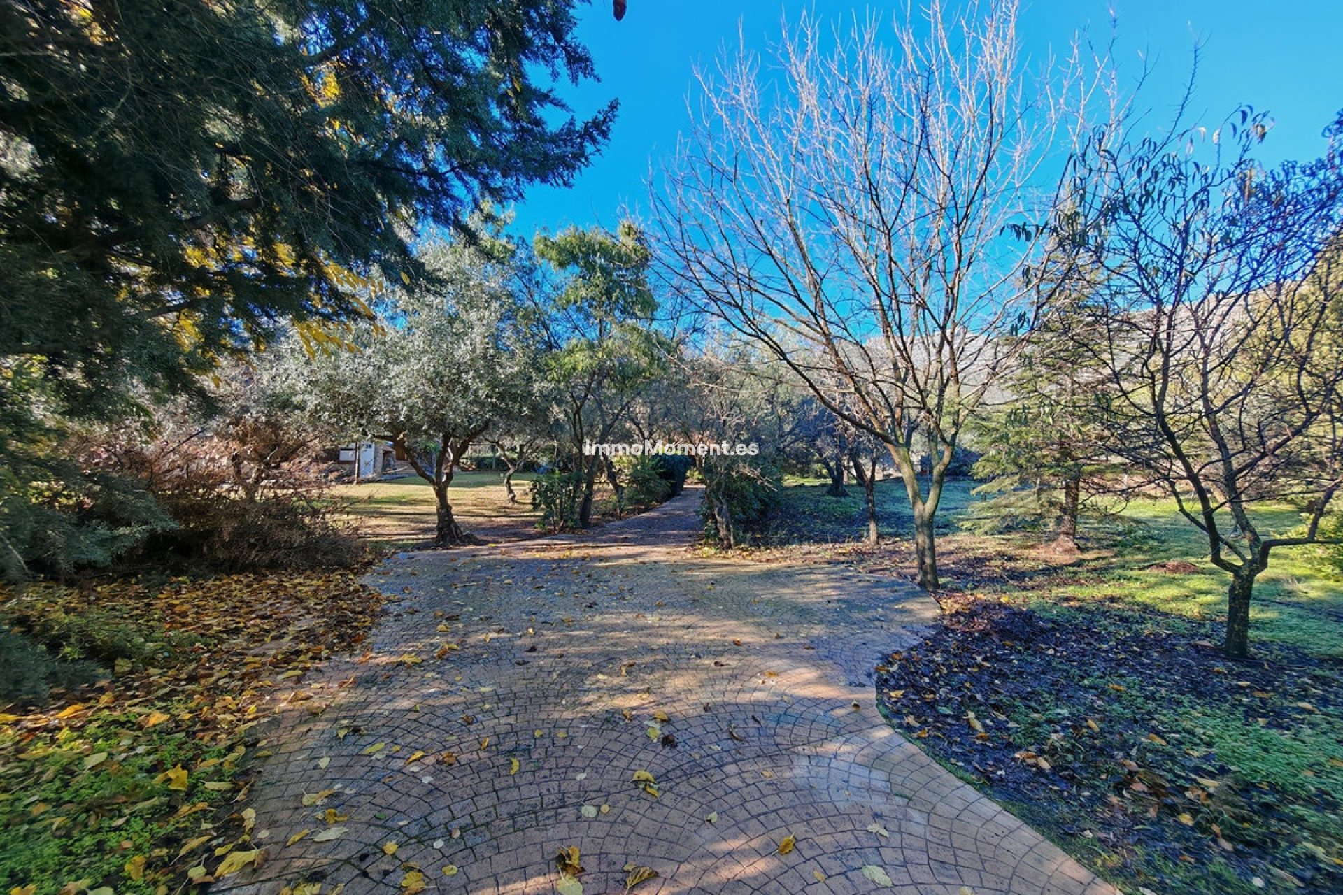 Resale - Country house - Inland  - Ojén