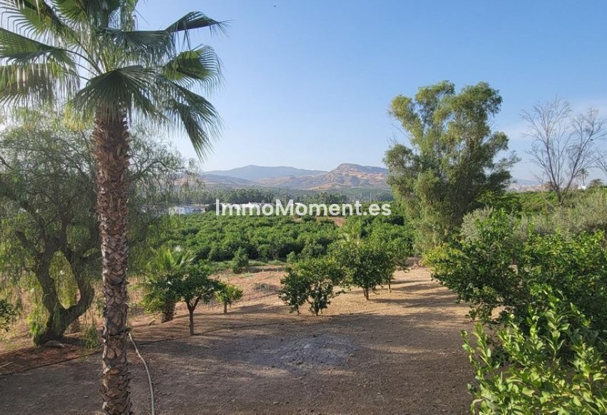 Resale - Country house - Inland  - Pizarra