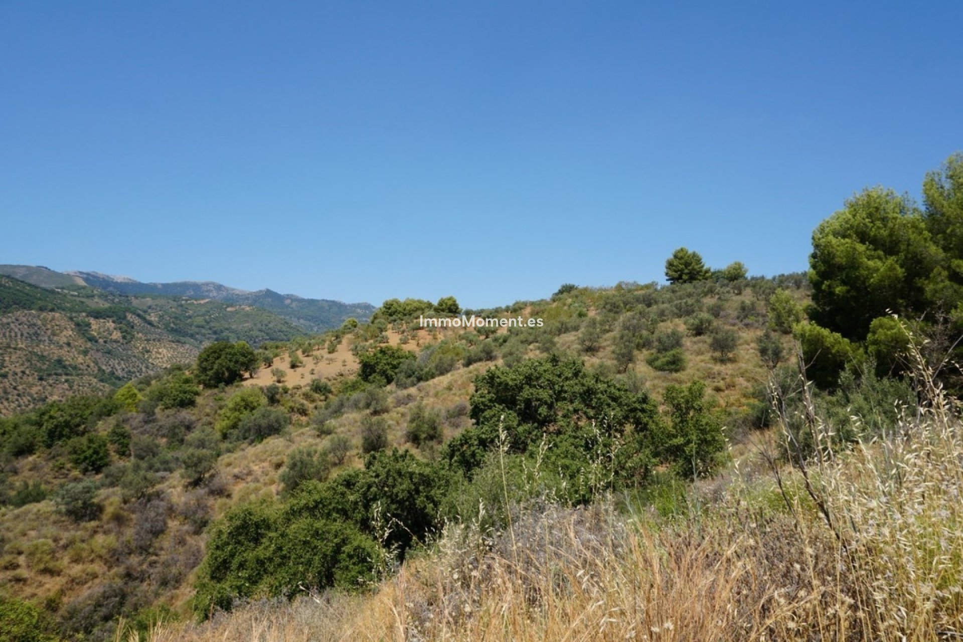 Resale - Country house - Inland  - Yunquera