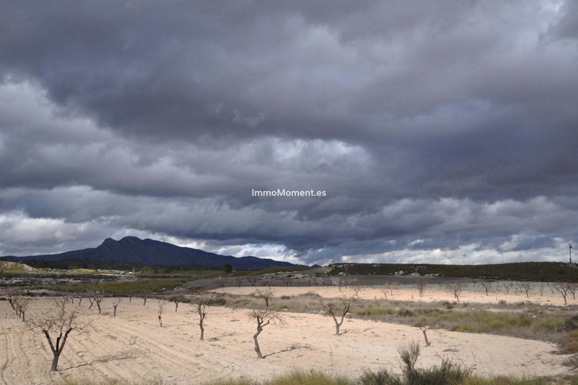 Resale - Country house - Jumilla - Jumilla Centro