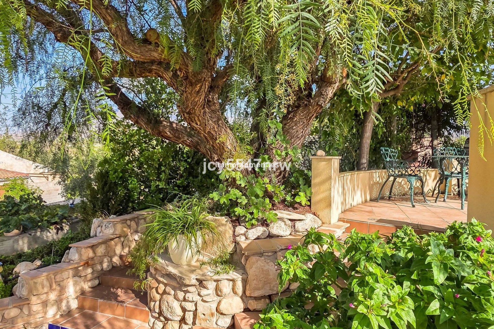 Resale - Country house - Jumilla - Torre Del Rico