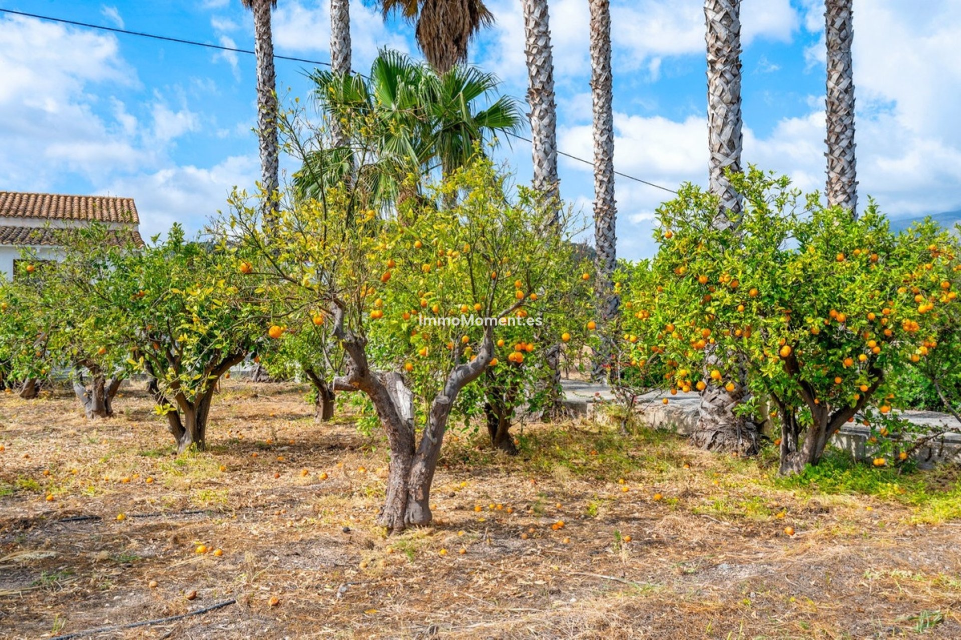 Resale - Country house - La Nucía - La Nucia Centro