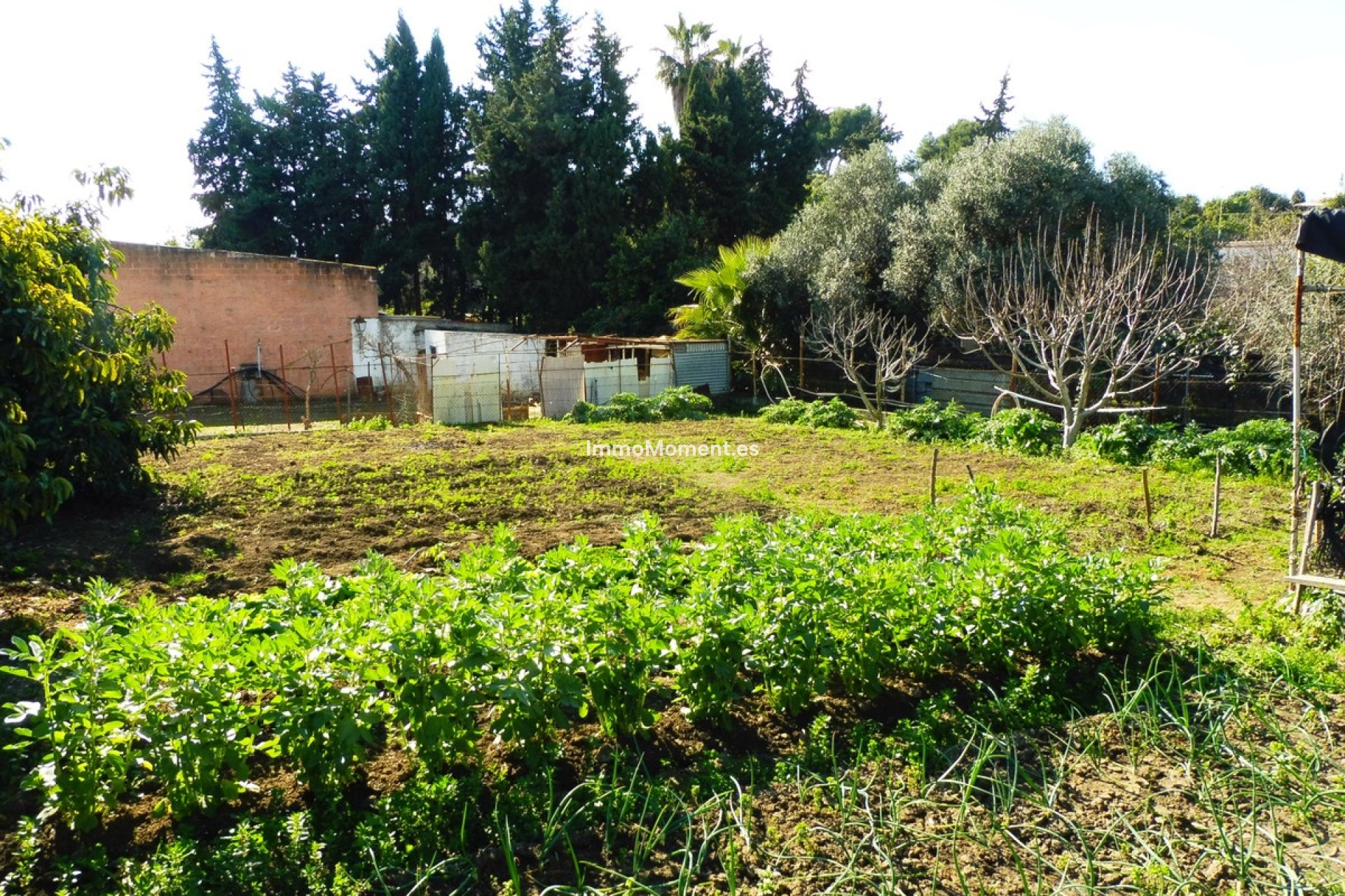 Resale - Country house - Marbella - Marbella Centro