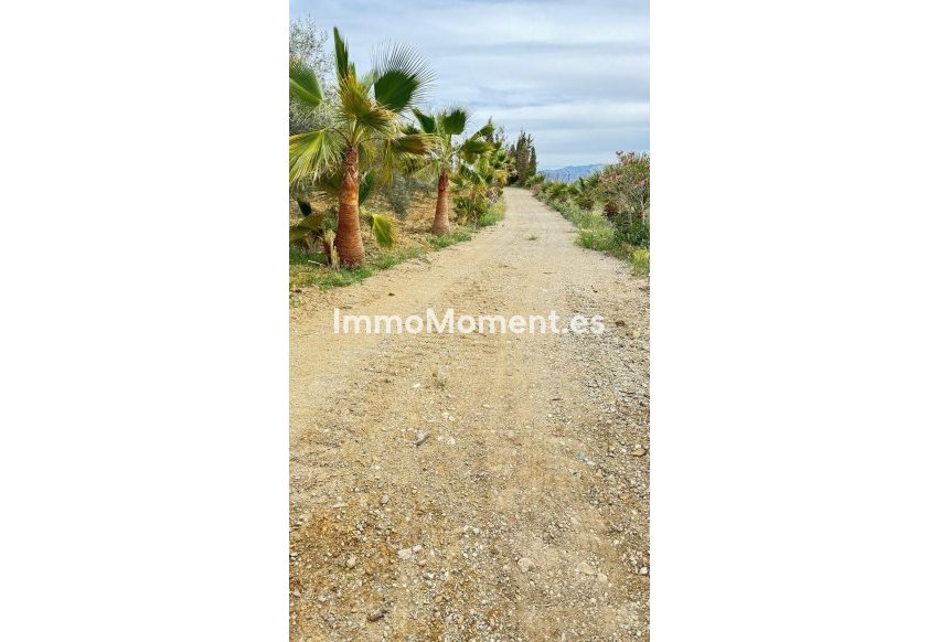 Resale - Country house - Marbella - Marbella Centro