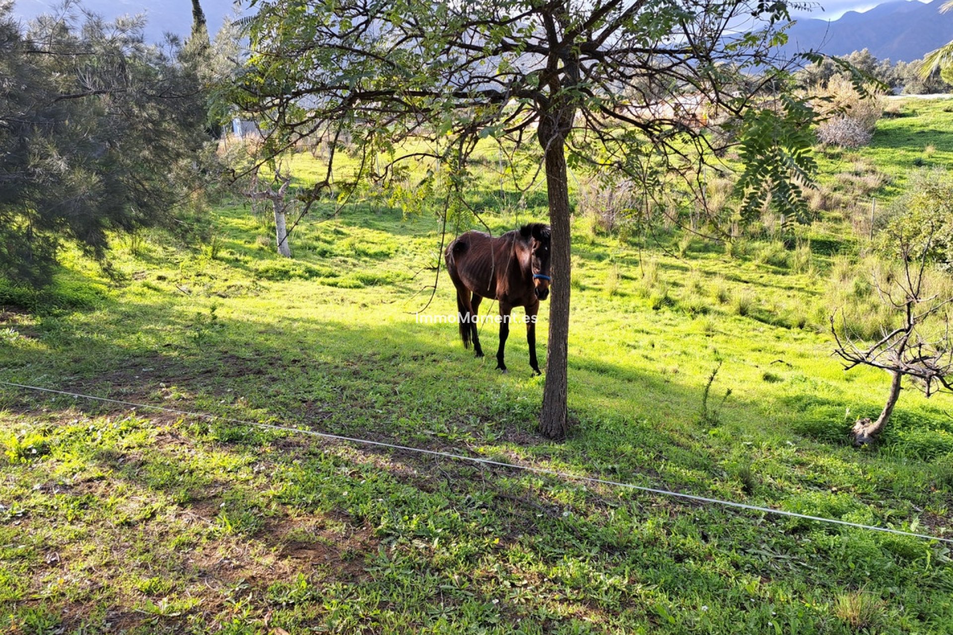 Resale - Country house - Mijas - Entrerrios