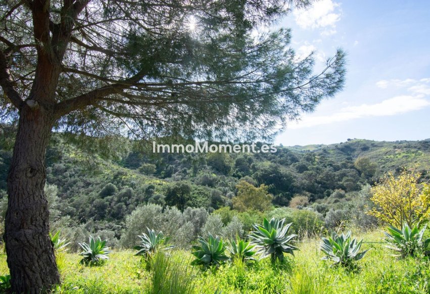 Resale - Country house - Mijas - La Cala Golf