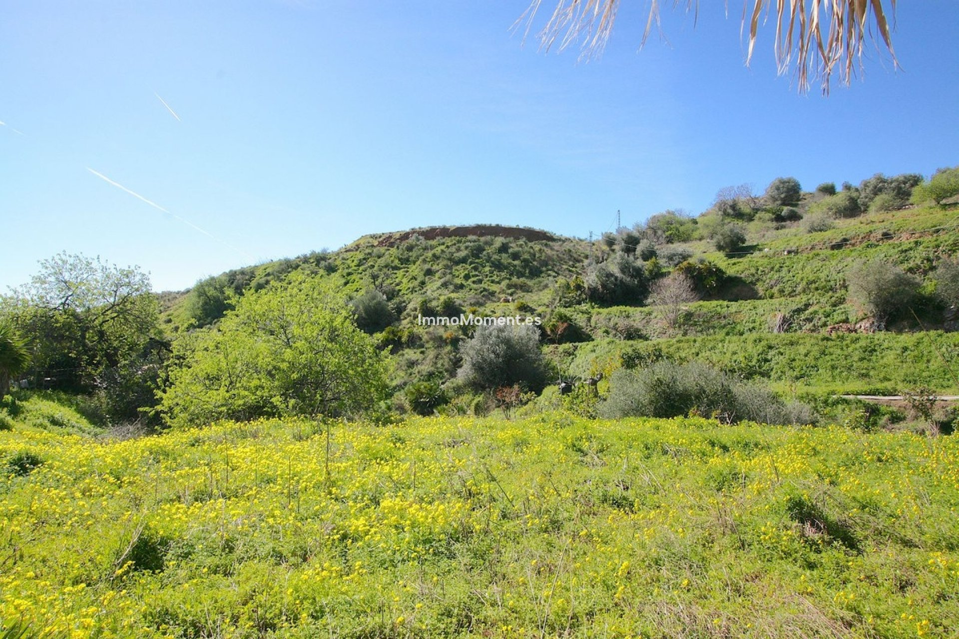 Resale - Country house - Mijas - Mijas Centro