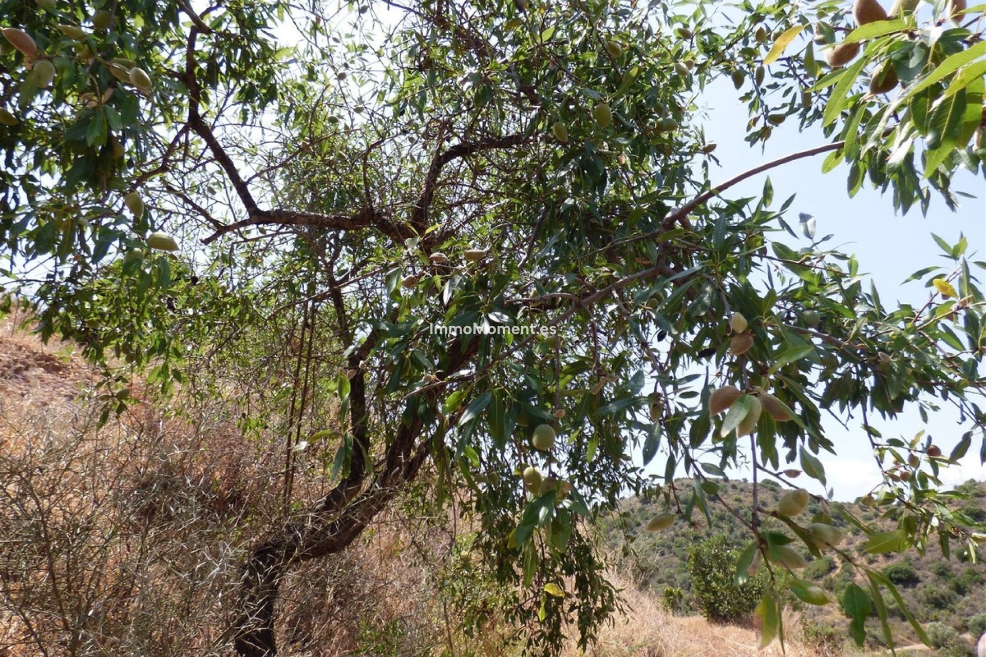 Resale - Country house - Mijas - Mijas Costa