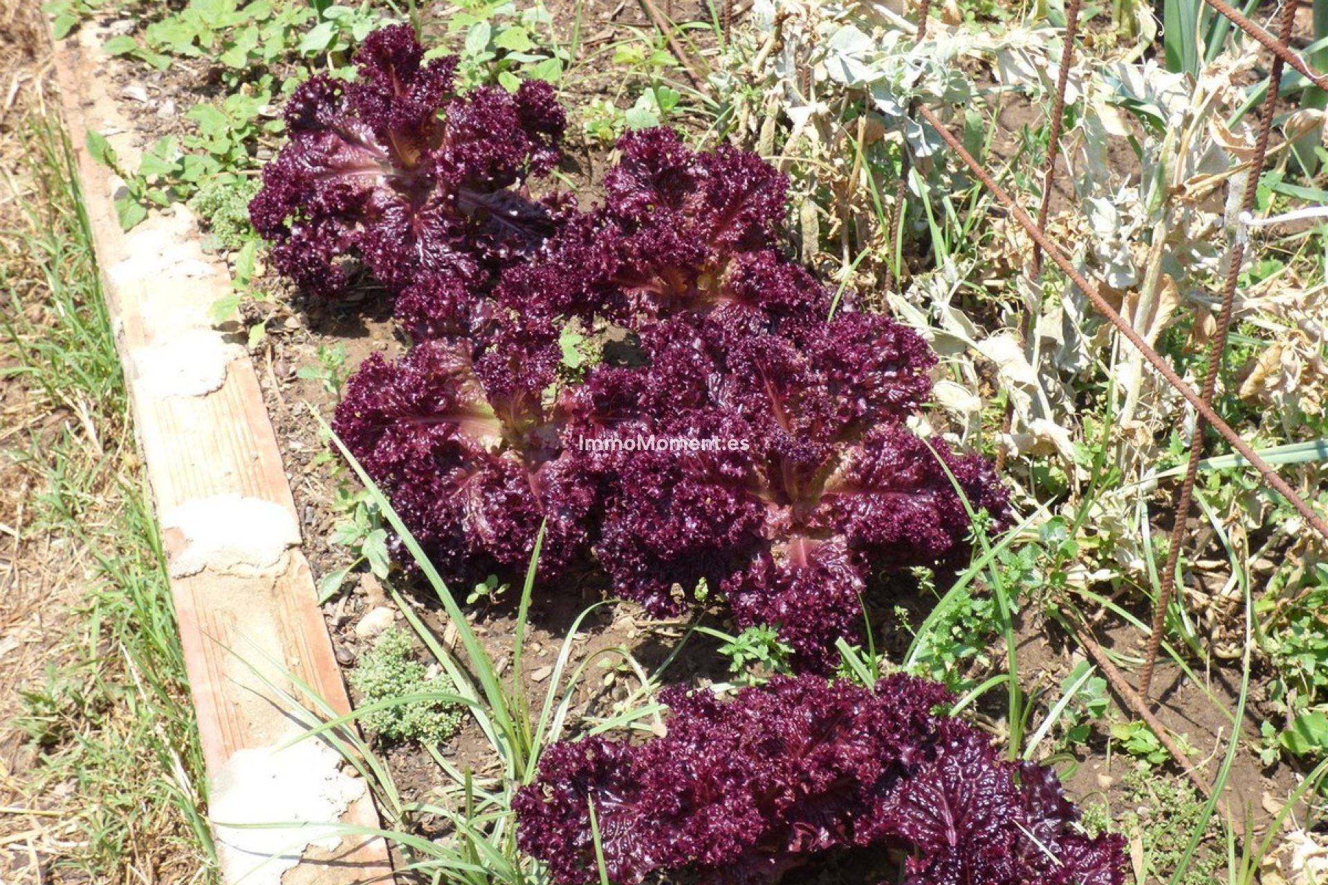 Resale - Country house - Mijas - Mijas Costa