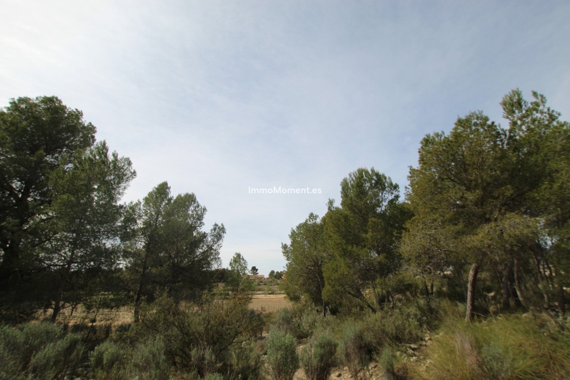 Resale - Country house - Monóvar - Monòver - Monóvar - Monòver Centro