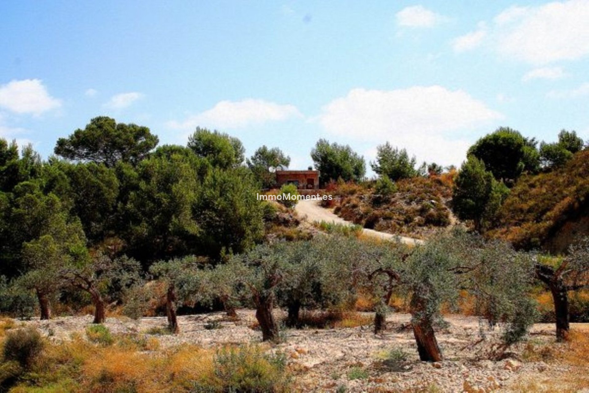 Resale - Country house - Murcia - Gea y Truyols