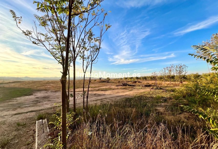 Resale - Country house - Yecla - Yecla Centro