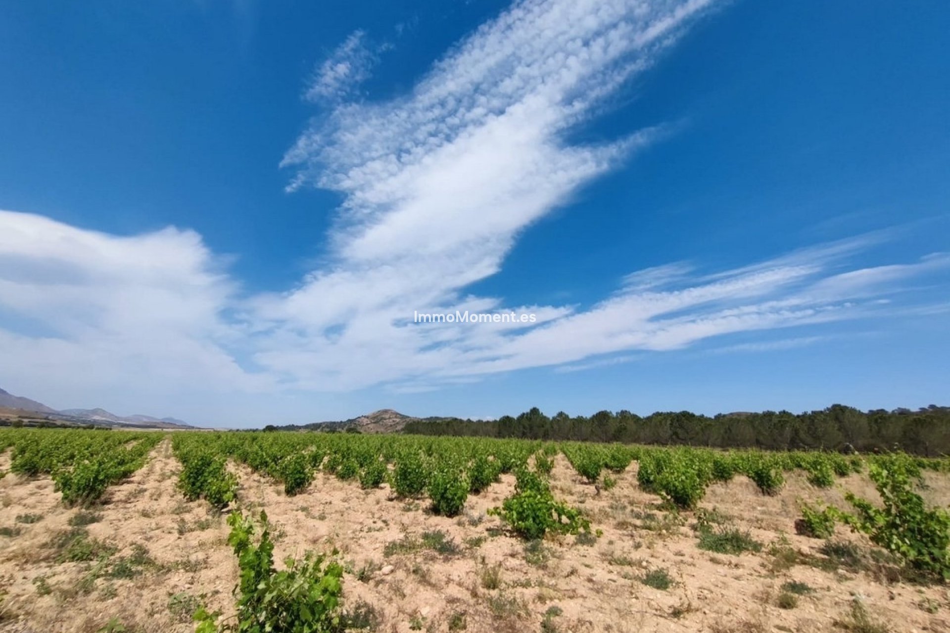 Resale - Country house - Yecla - Yecla Centro