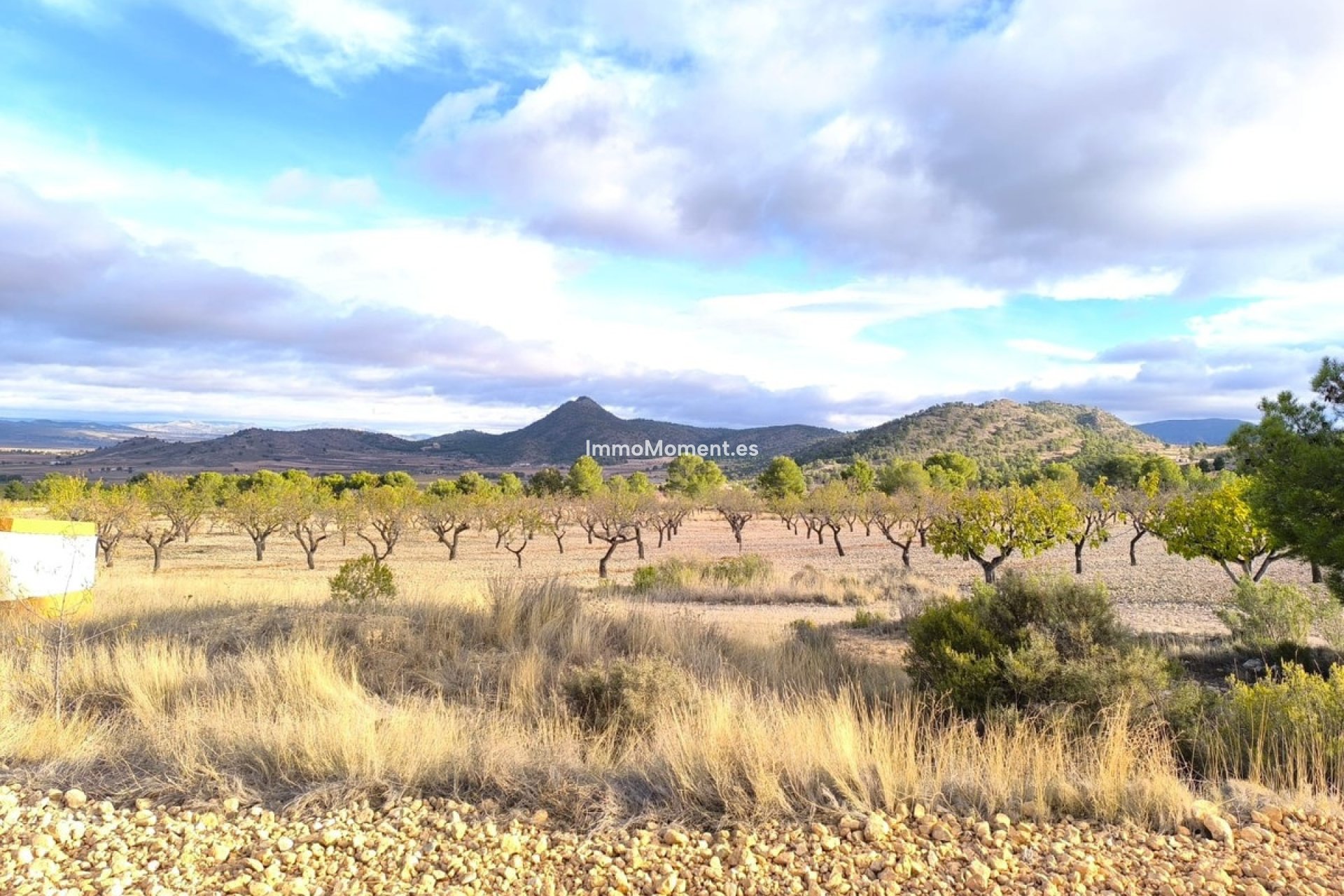 Resale - Country house - Yecla - Yecla Centro