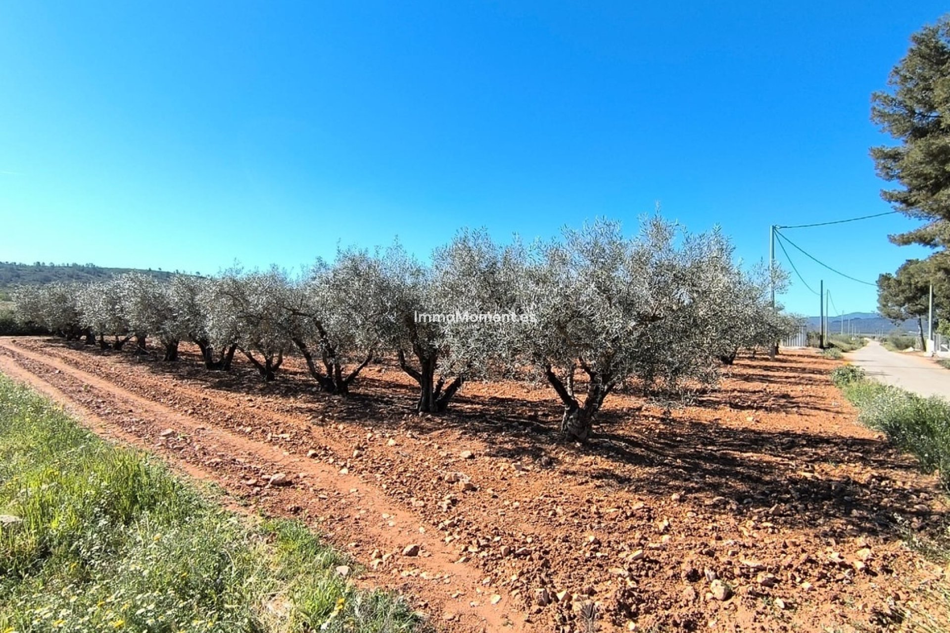 Resale - Country house - Yecla - Yecla Centro