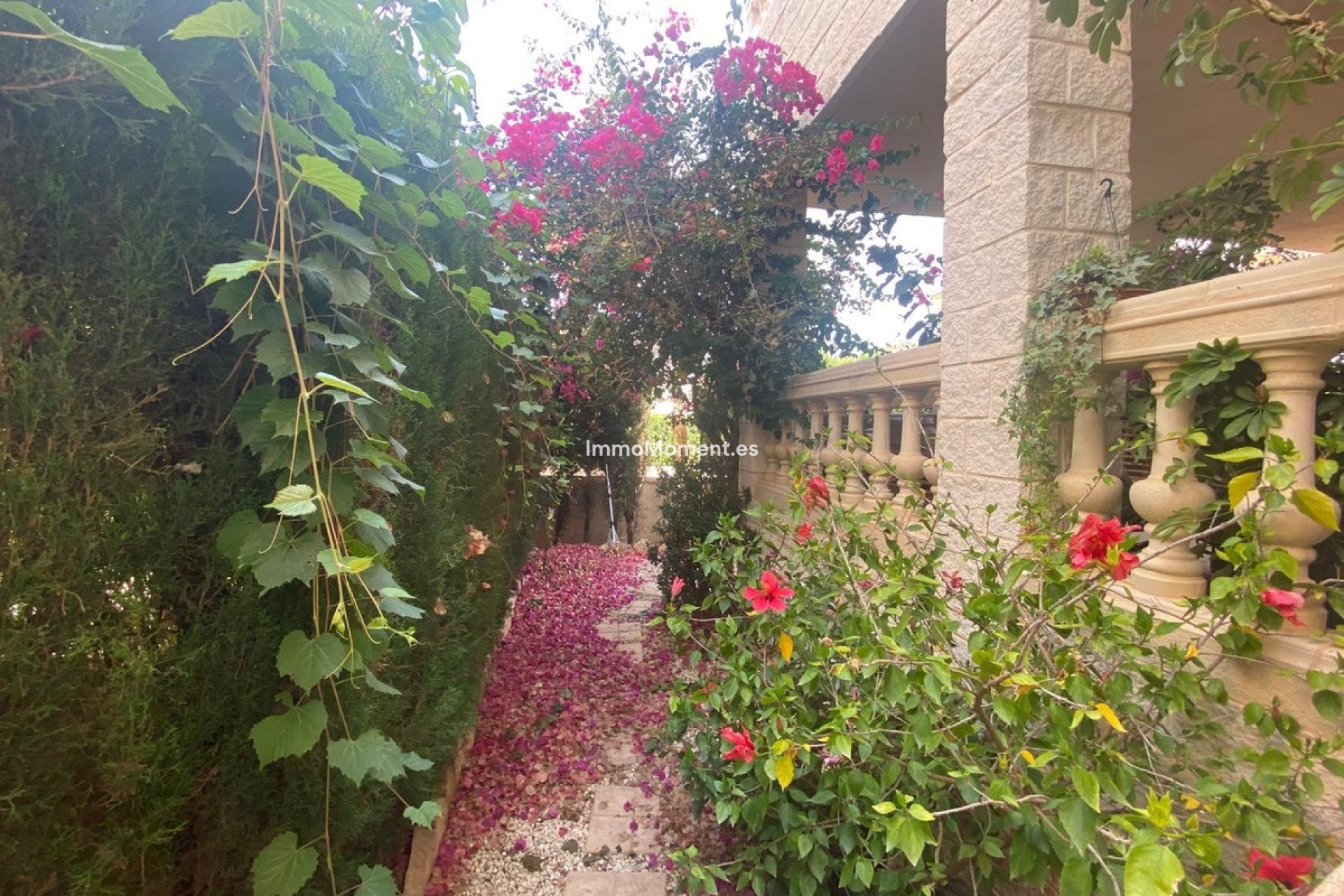 Resale - Detached villa - Alfaz del Pi - Albir