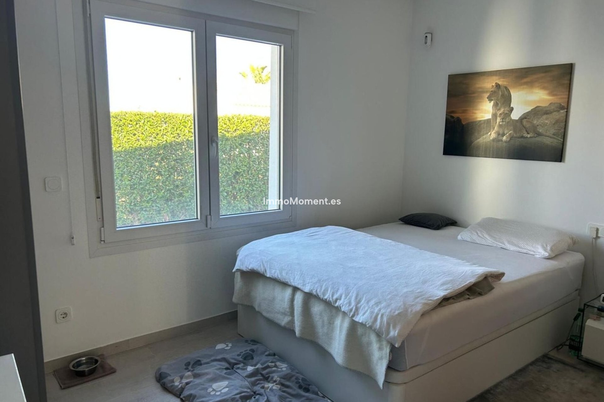 Resale - Detached villa - Algorfa - Algorfa Centro