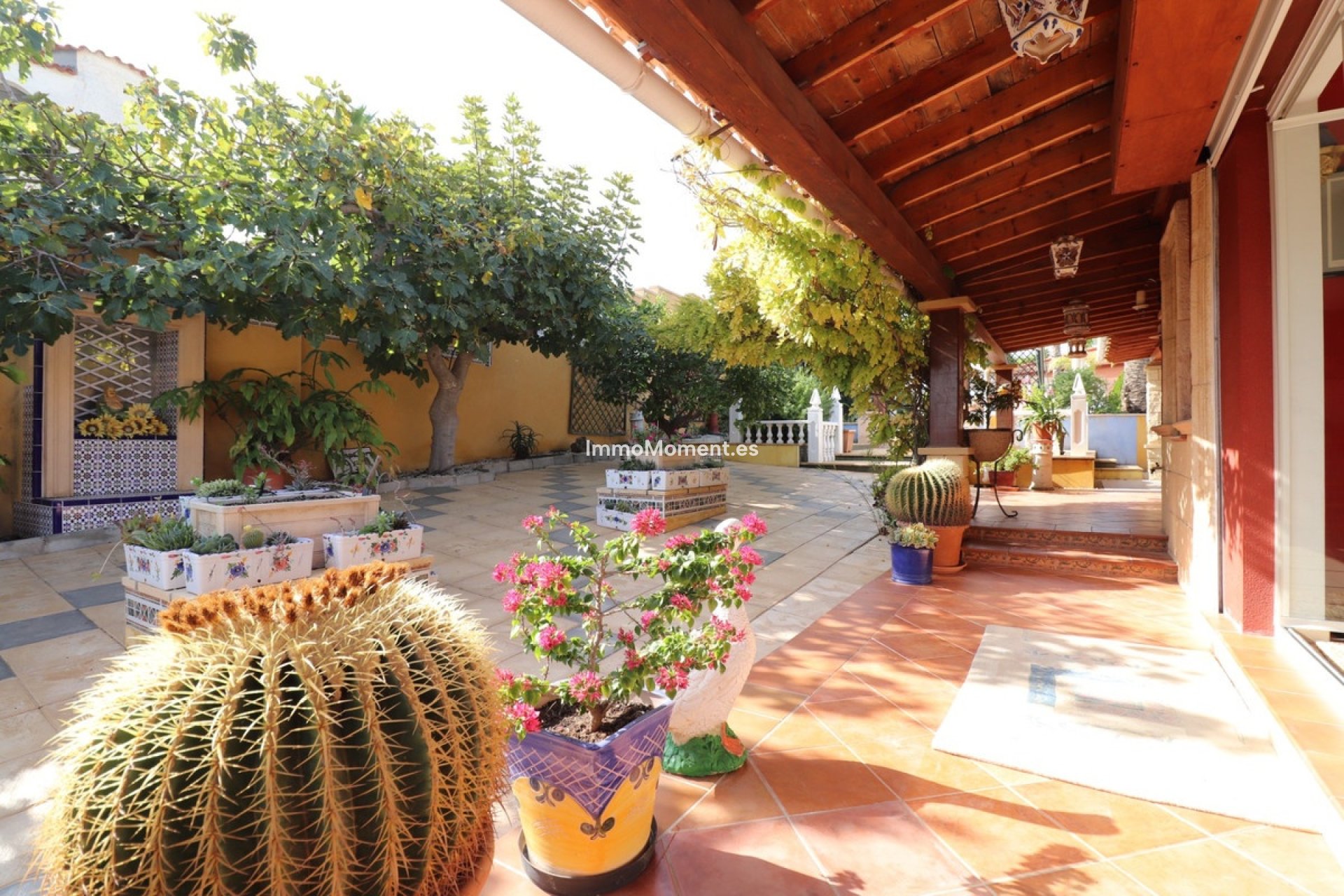 Resale - Detached villa - Algorfa - Algorfa Centro