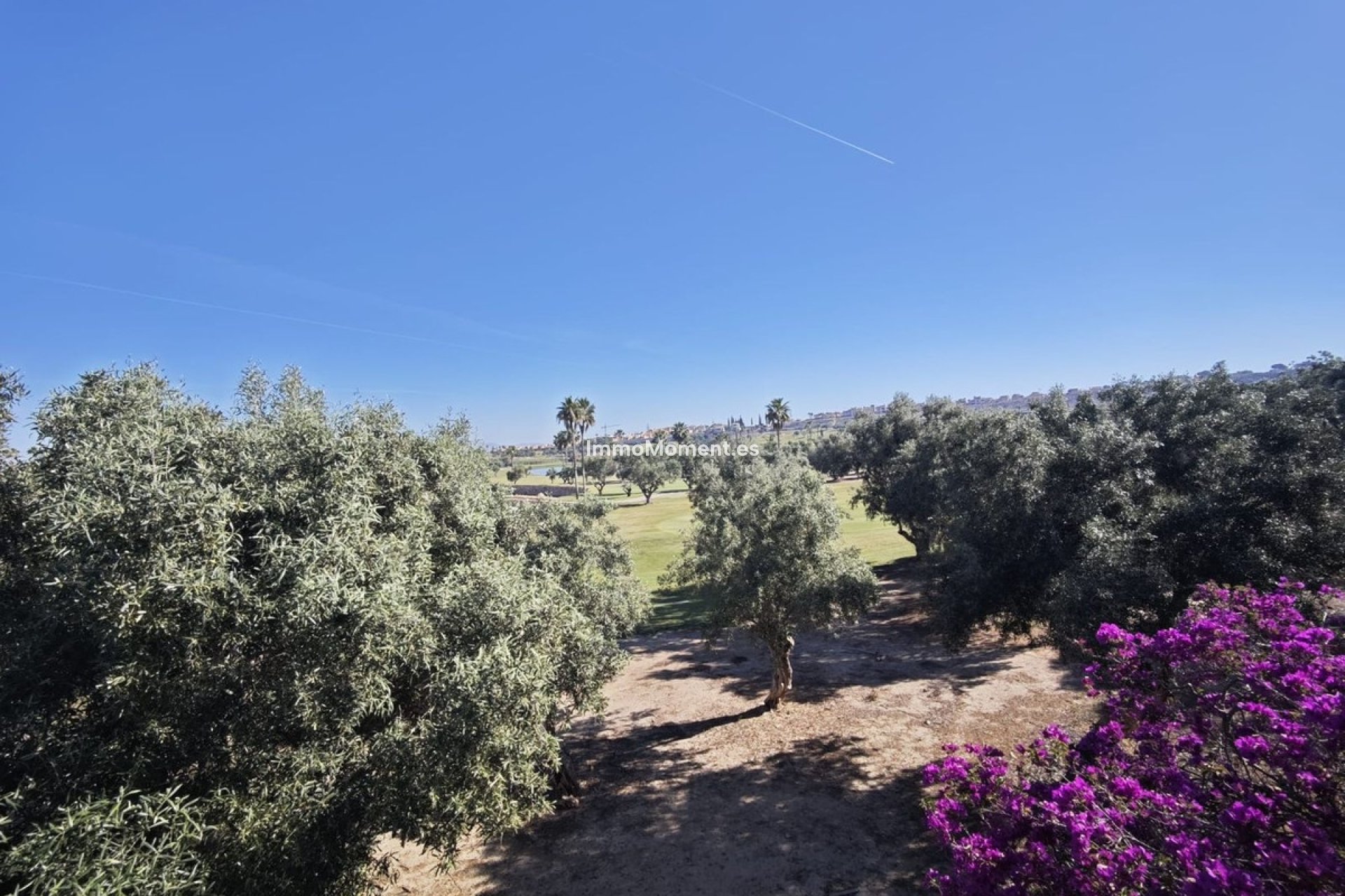 Resale - Detached villa - Algorfa - Algorfa Centro