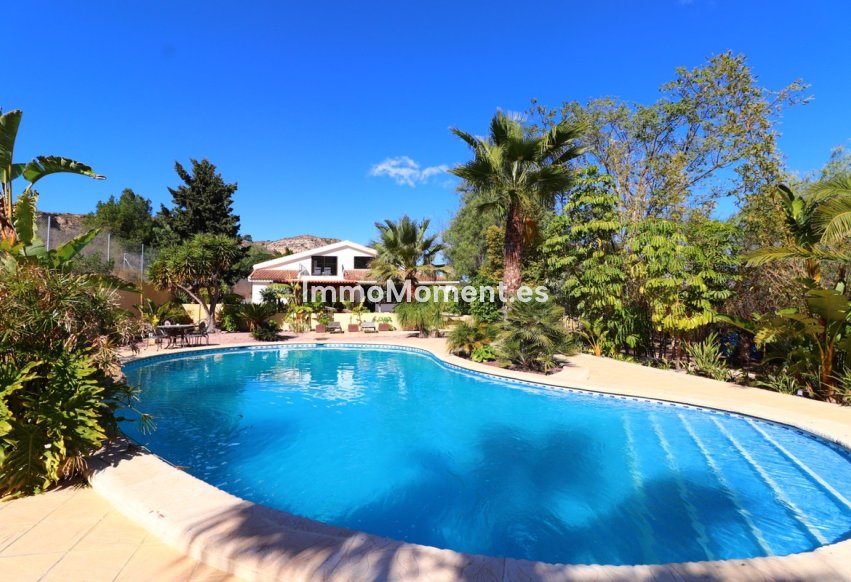 Resale - Detached villa - Aspe - Aspe Centro