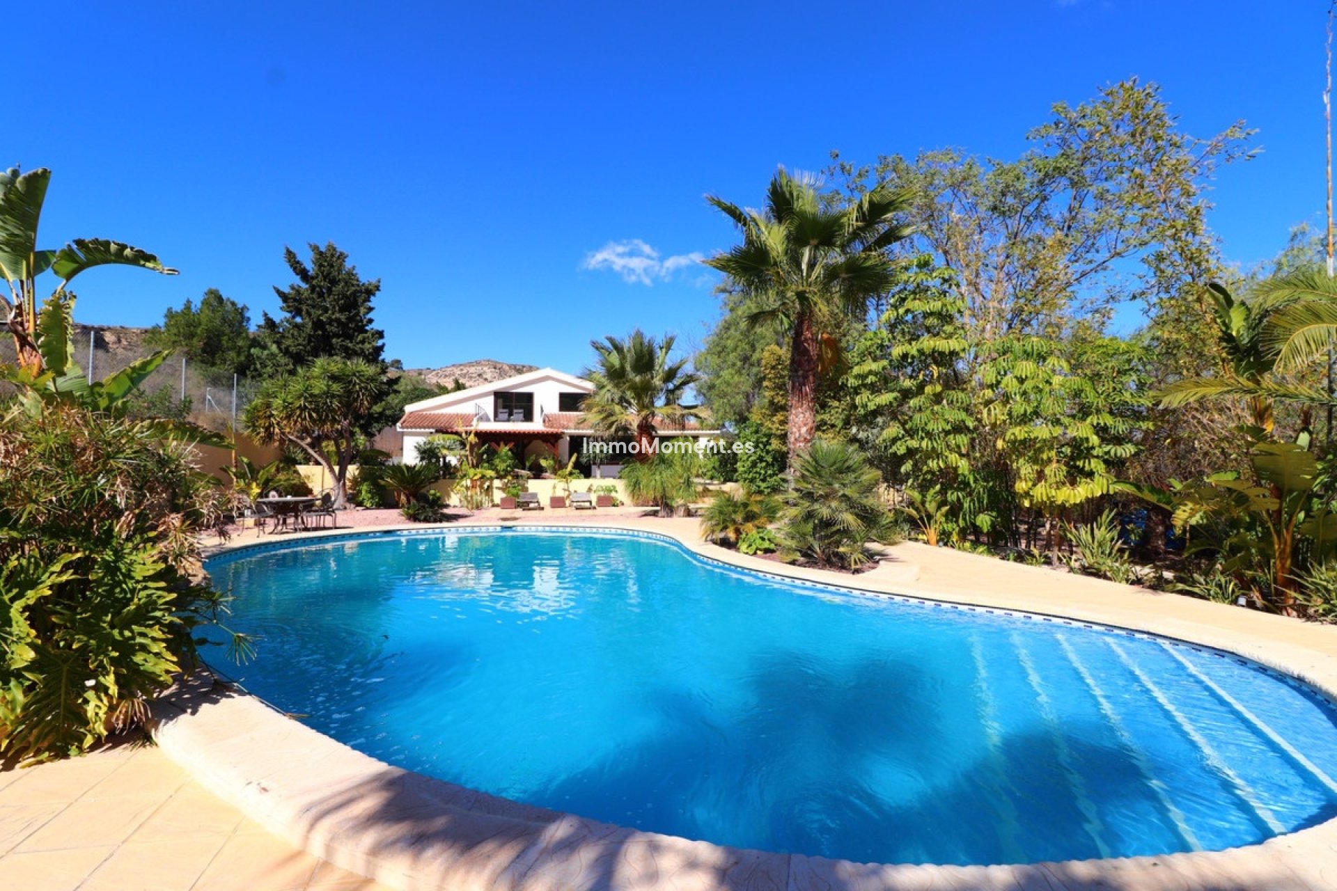Resale - Detached villa - Aspe - Aspe Centro