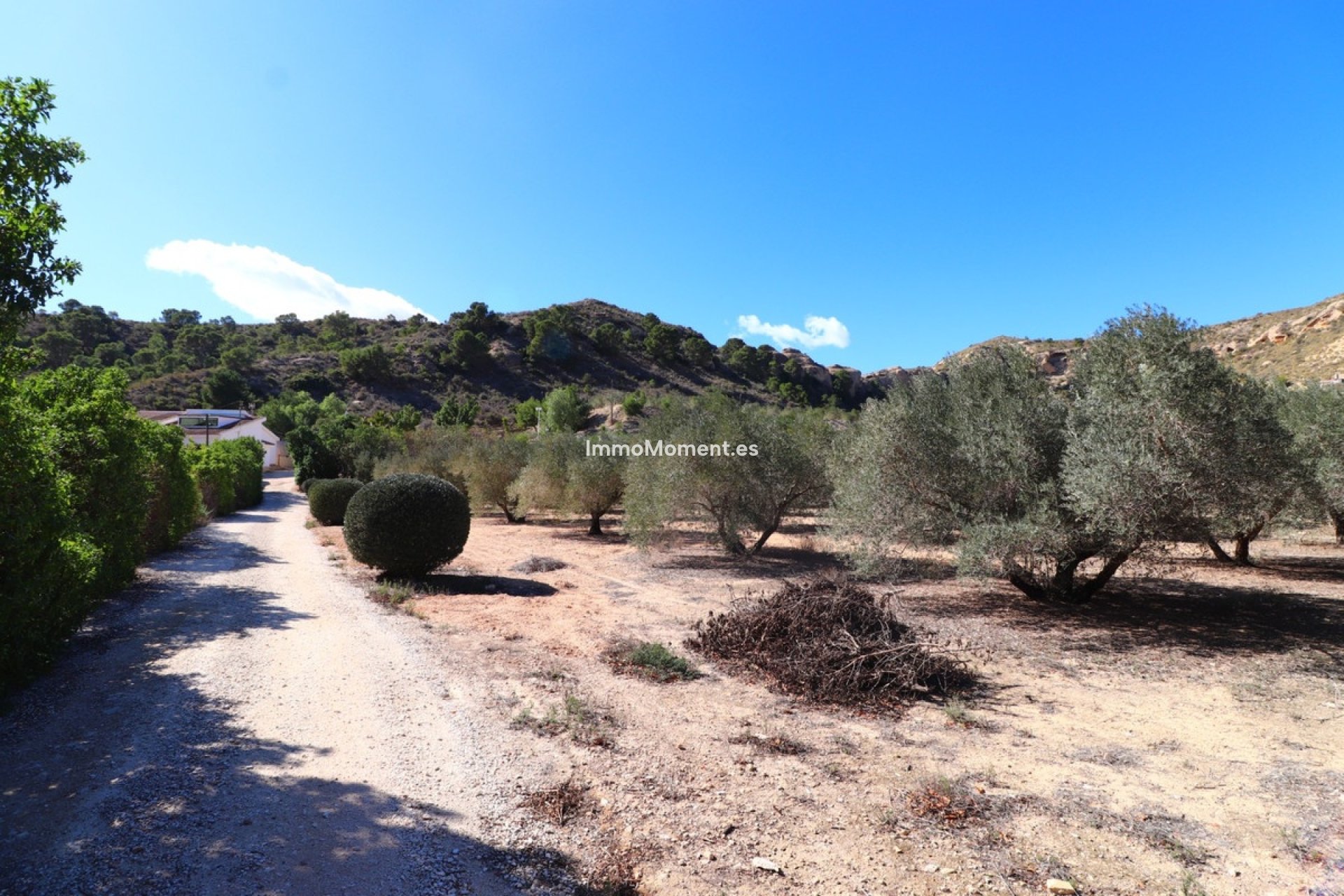 Resale - Detached villa - Aspe - Aspe Centro