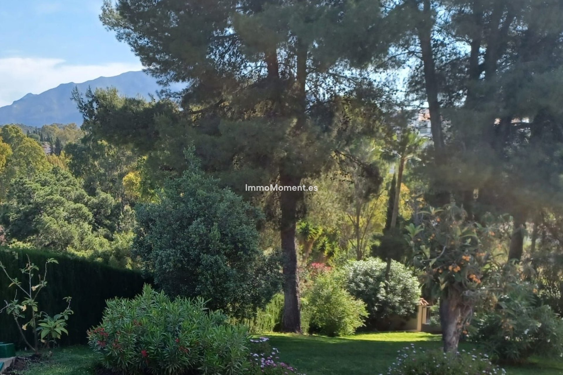 Resale - Detached villa - Benahavís - Benahavís Centro