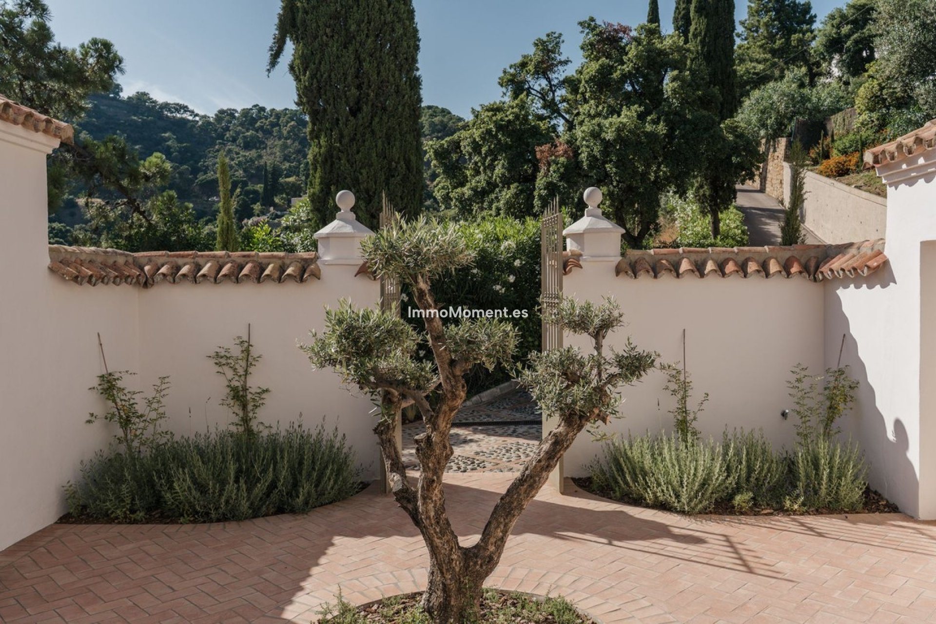 Resale - Detached villa - Benahavís - El Madroñal