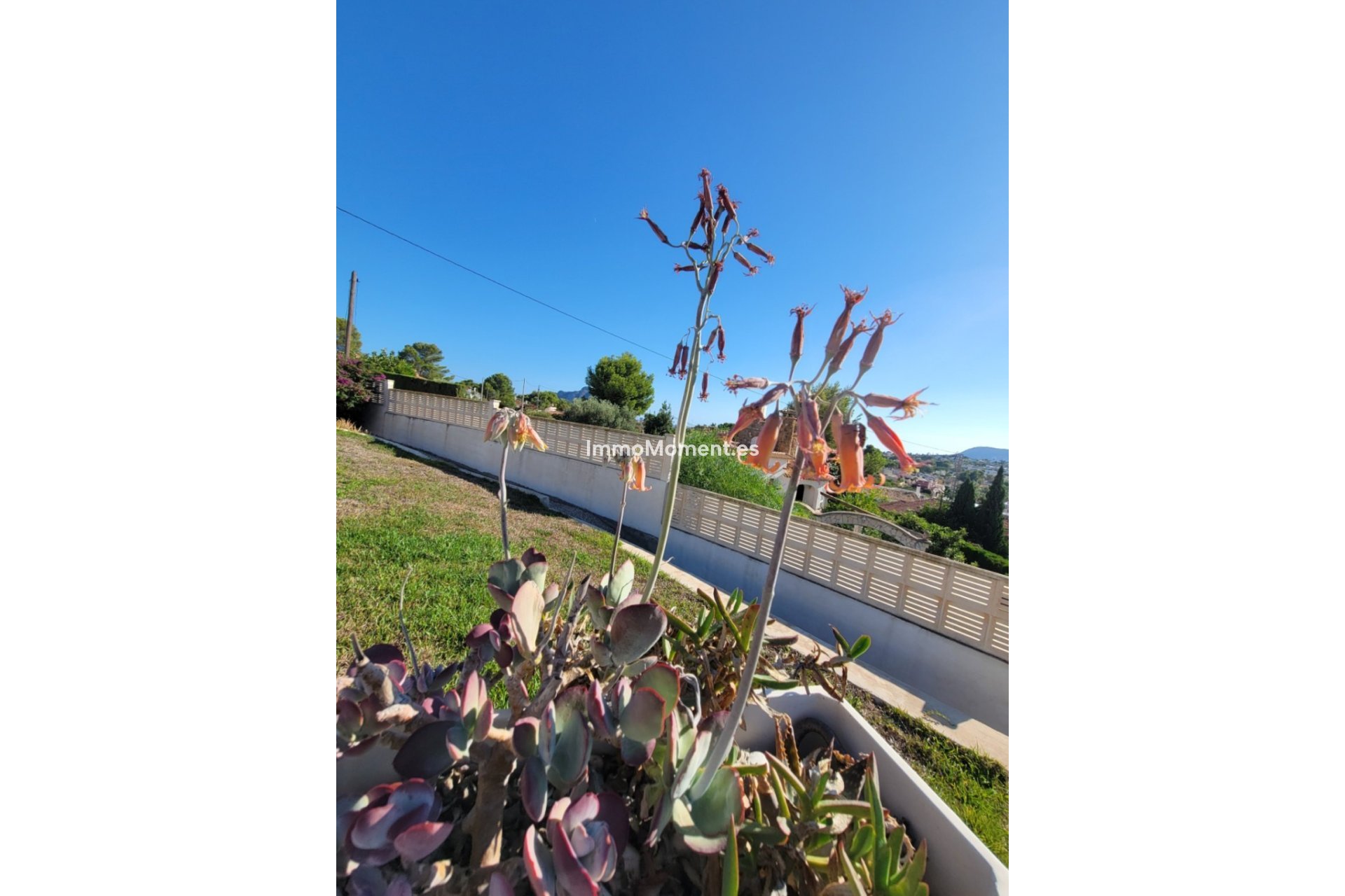 Resale - Detached villa - Calpe - Calpe Centro