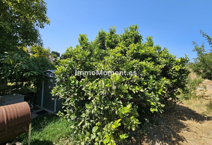 Resale - Detached villa - Casares - Casares Centro