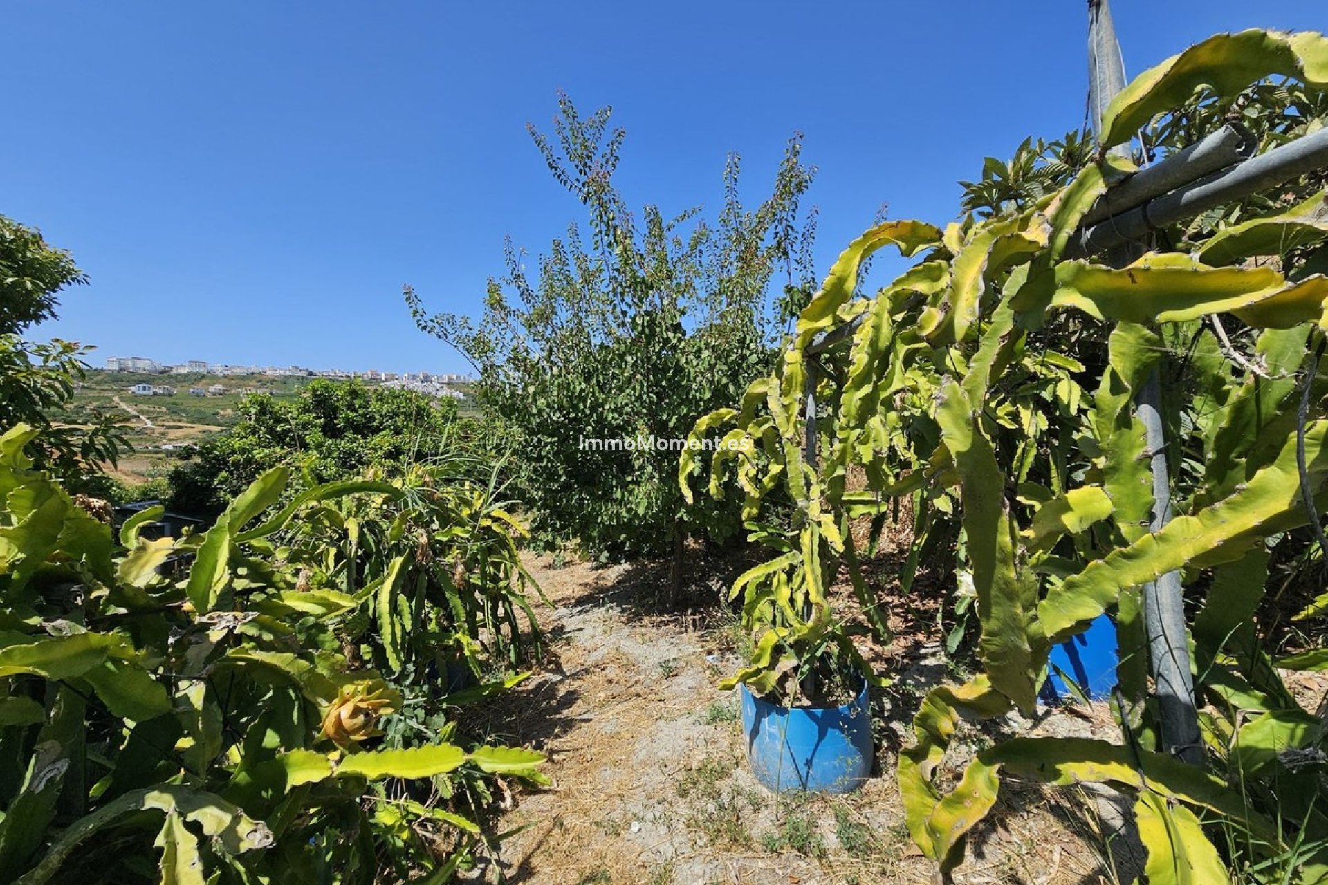Resale - Detached villa - Casares - Casares Centro